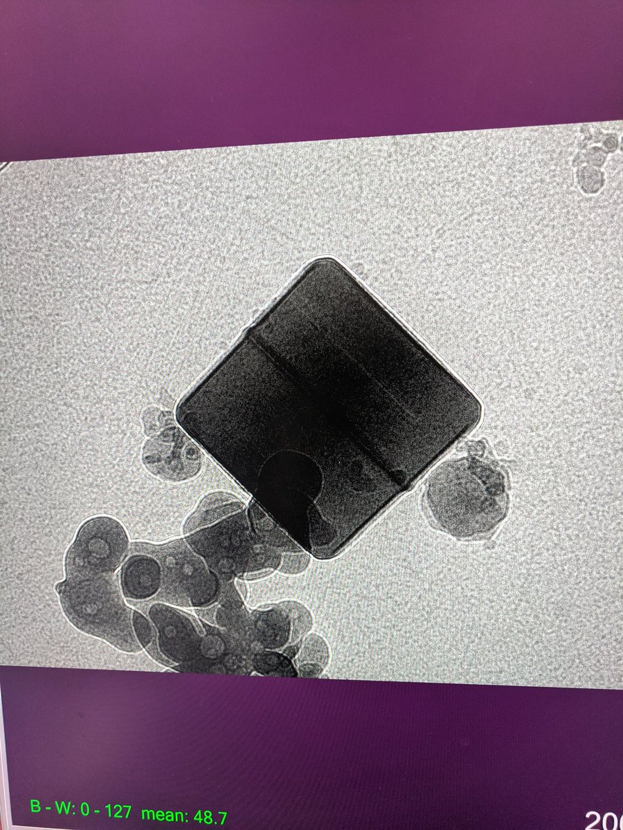 Mark Ebrahim tweet media