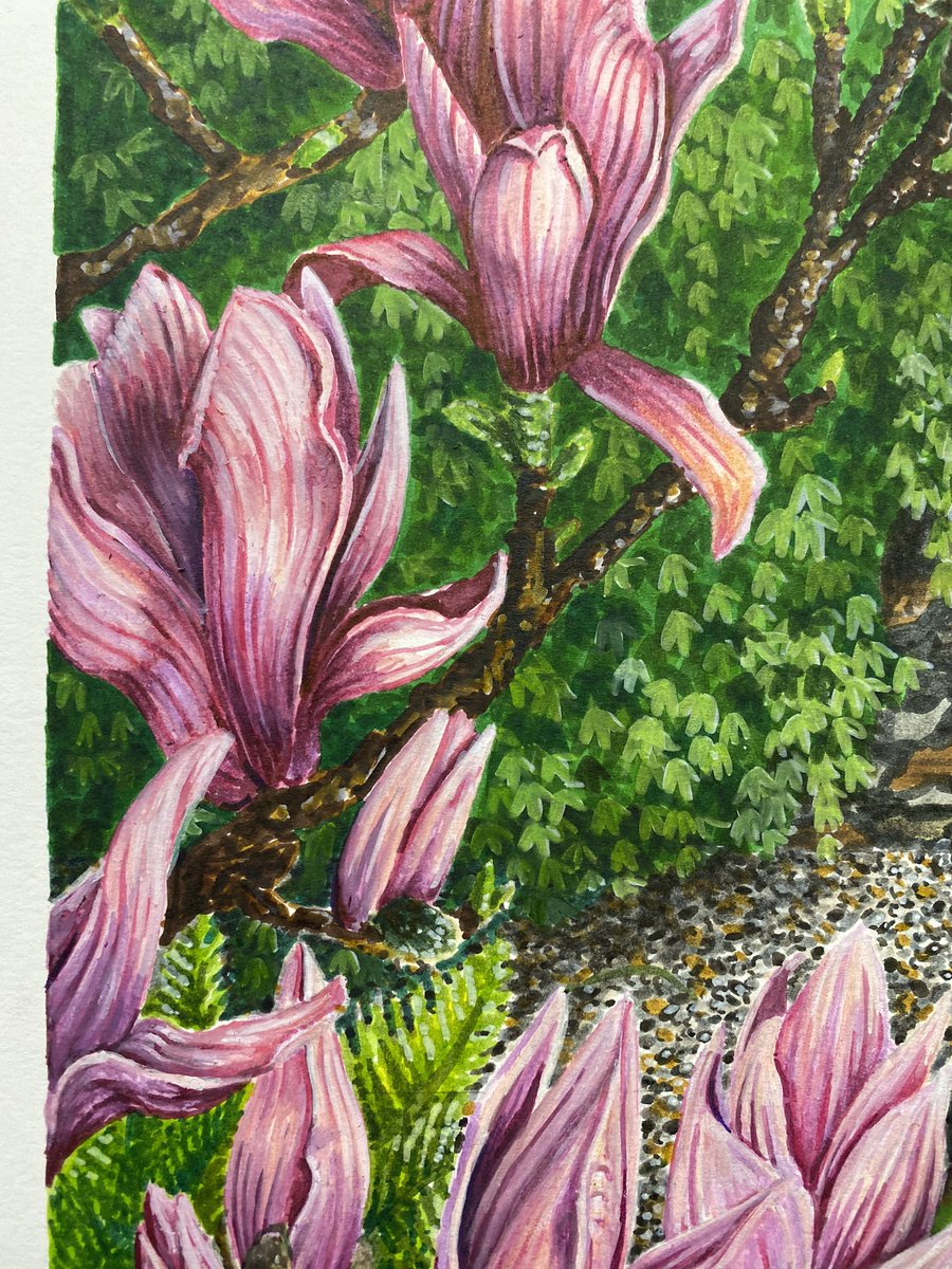 AtelierGeeraets's tweet photo. Zojuist heb ik mijn negende tekening voltooid. Drie vinken en een boek. Ik hoop dat jullie het weten te waarderen.

‘Onder elke hemel, tijdens elk jaargetijde samen’

50 x 65 cm
Pigment inkt op papier

Retweet is lief! https://t.co/OlI5qVtMcv