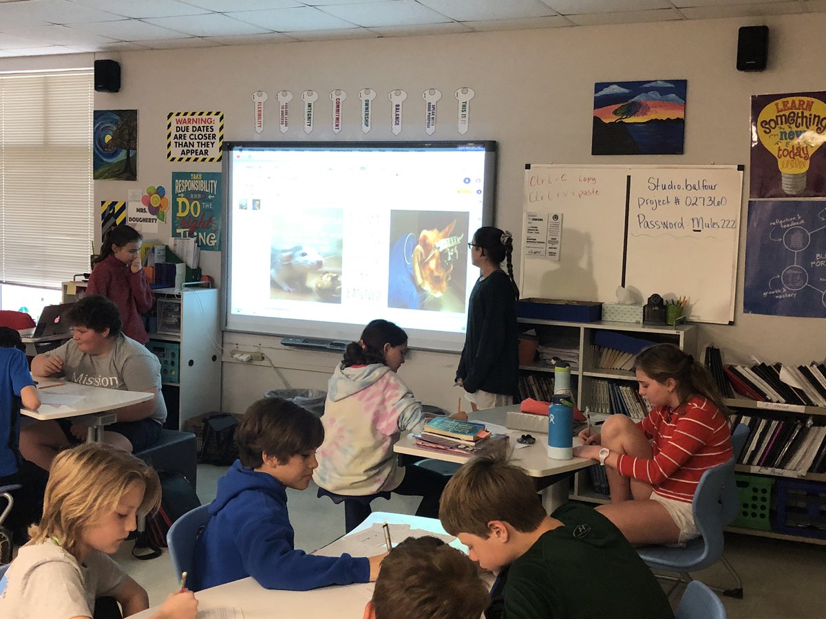 Cristie Christopher tweet media