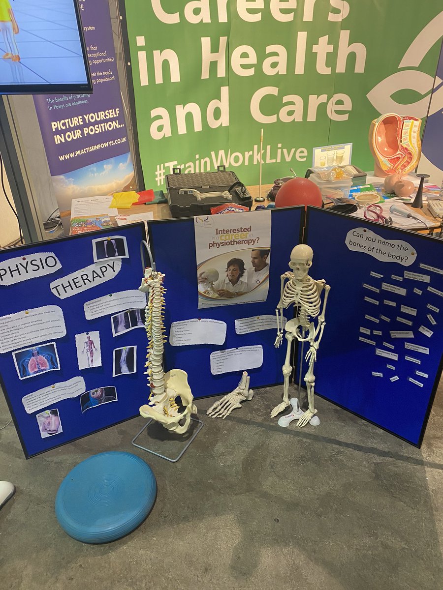 Sarah Andrews tweet media