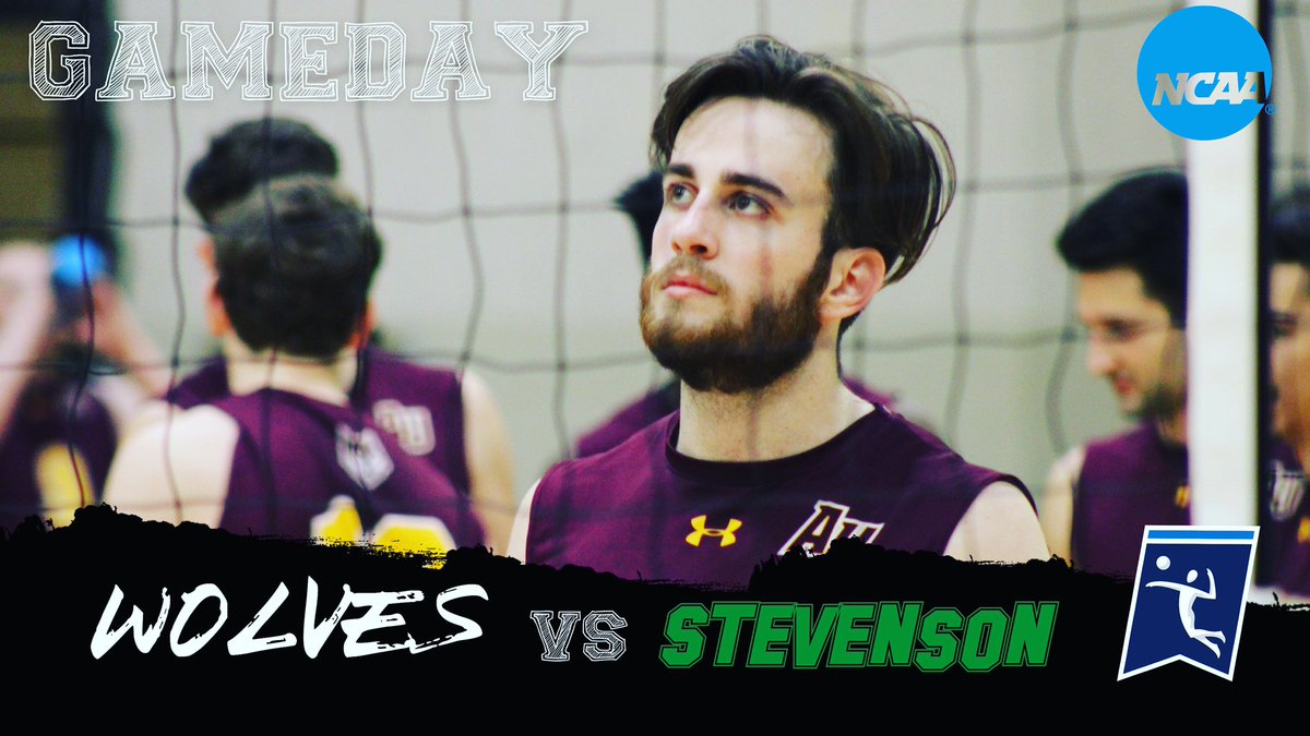 AlverniaMVB's tweet photo. Match day wolves hit the road at Stevenson https://t.co/uvsPWDONpb