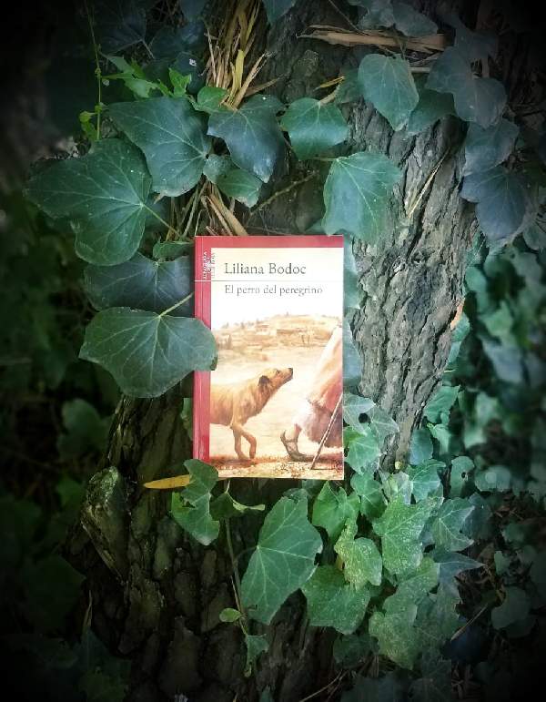 ed_outsider's tweet photo. Sale #reseña de El perro peregrino por la pluma de Ayelén Tealdi.
Podés leerla acá: https://t.co/1gaxdo1sBc
#OutsiderLaRevista #soydigital #huellas #Bodoc #Outsider10años https://t.co/91PDl8q03Q