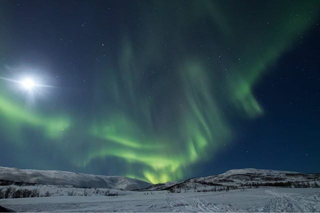 3rd of March. The moon was bright, so we're the lights. Only a short drive out of city. It was freezing cold and wind, but worth it!
.
.
.
#northernlightstromso #auroraborealis #visittromso #visitnorwayusa #visitnorway_it #nightskyphotography #outdooradv… ift.tt/39pxJeJ