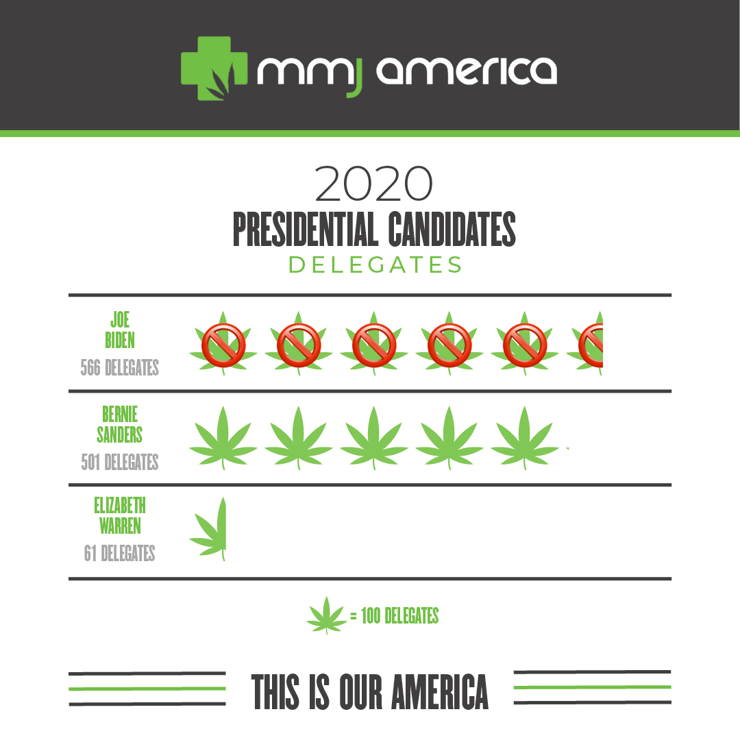 MMJ America tweet media