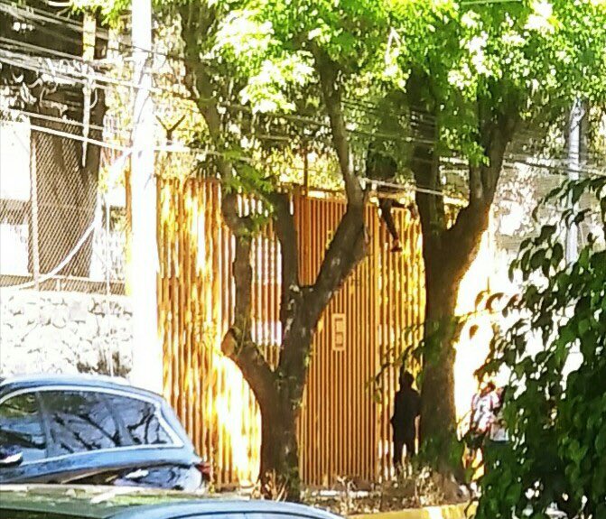 MeduelesU's tweet photo. Desconocidos intentan ingresar a la P5 por accesos cerrados, también son estudiantes ? Se les olvidaría una pluma en su salón ?? No más intereses  ajenos a la UNAM !! https://t.co/foJlPIXAtX