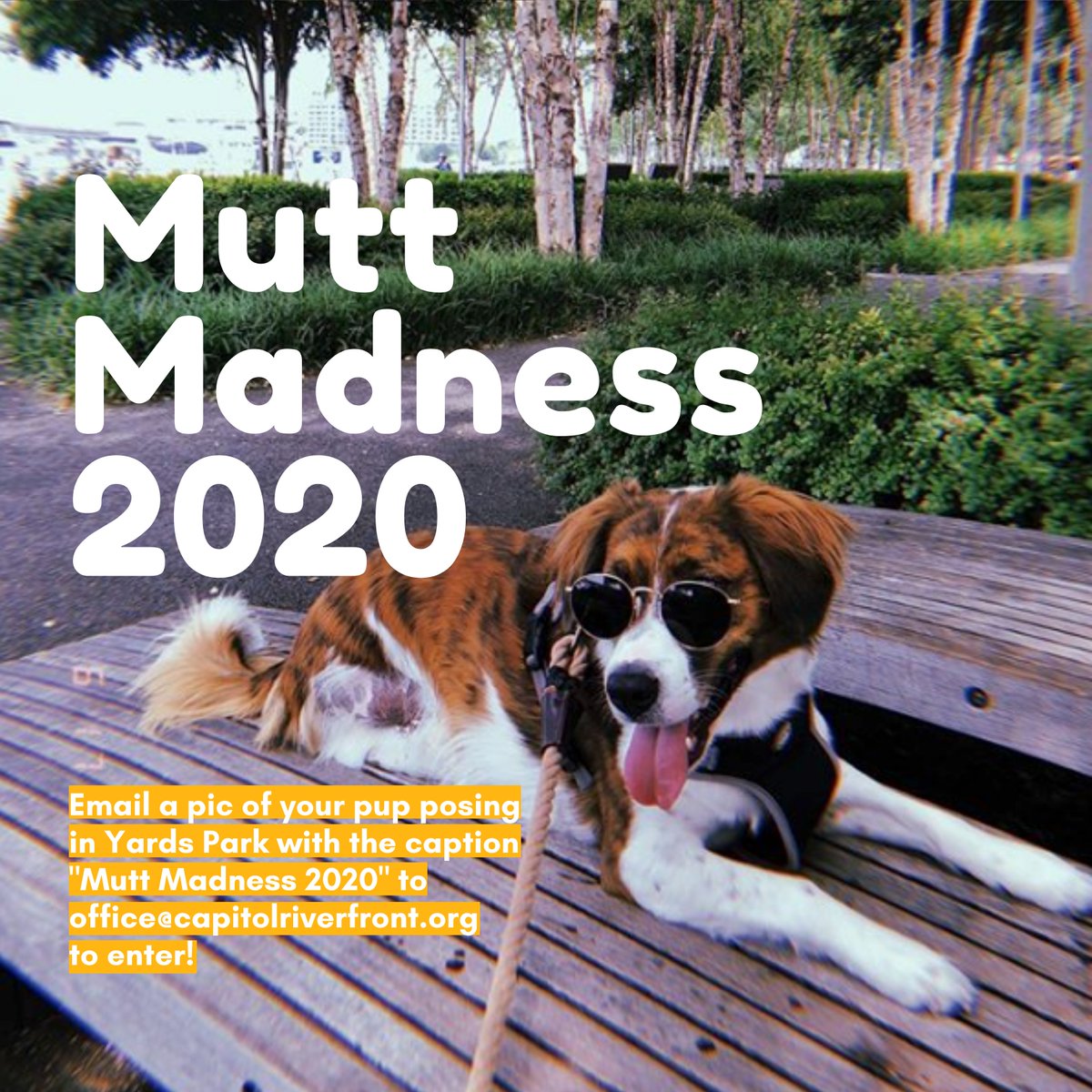 @YardsParkDC tweet media