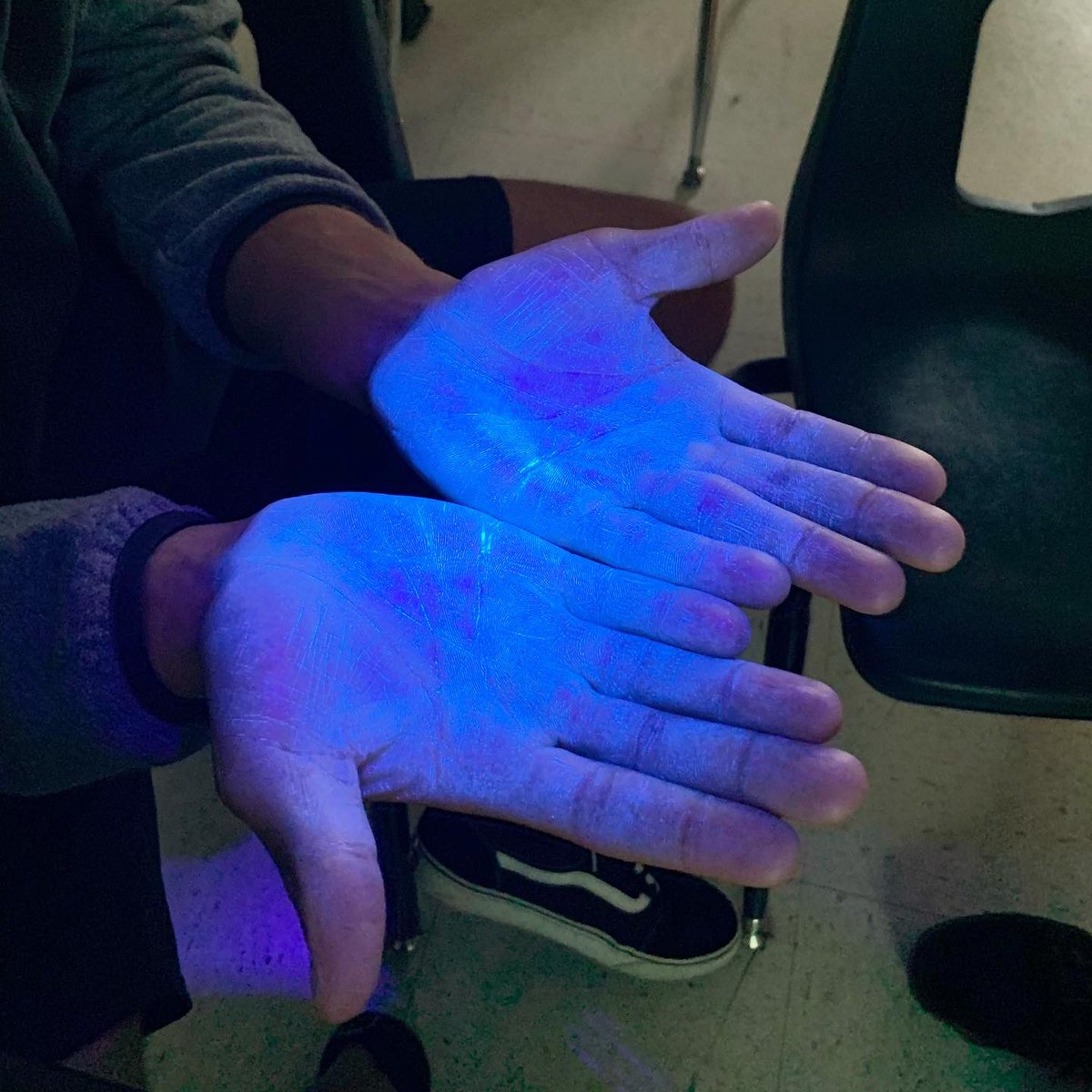 Meredith Koester tweet media