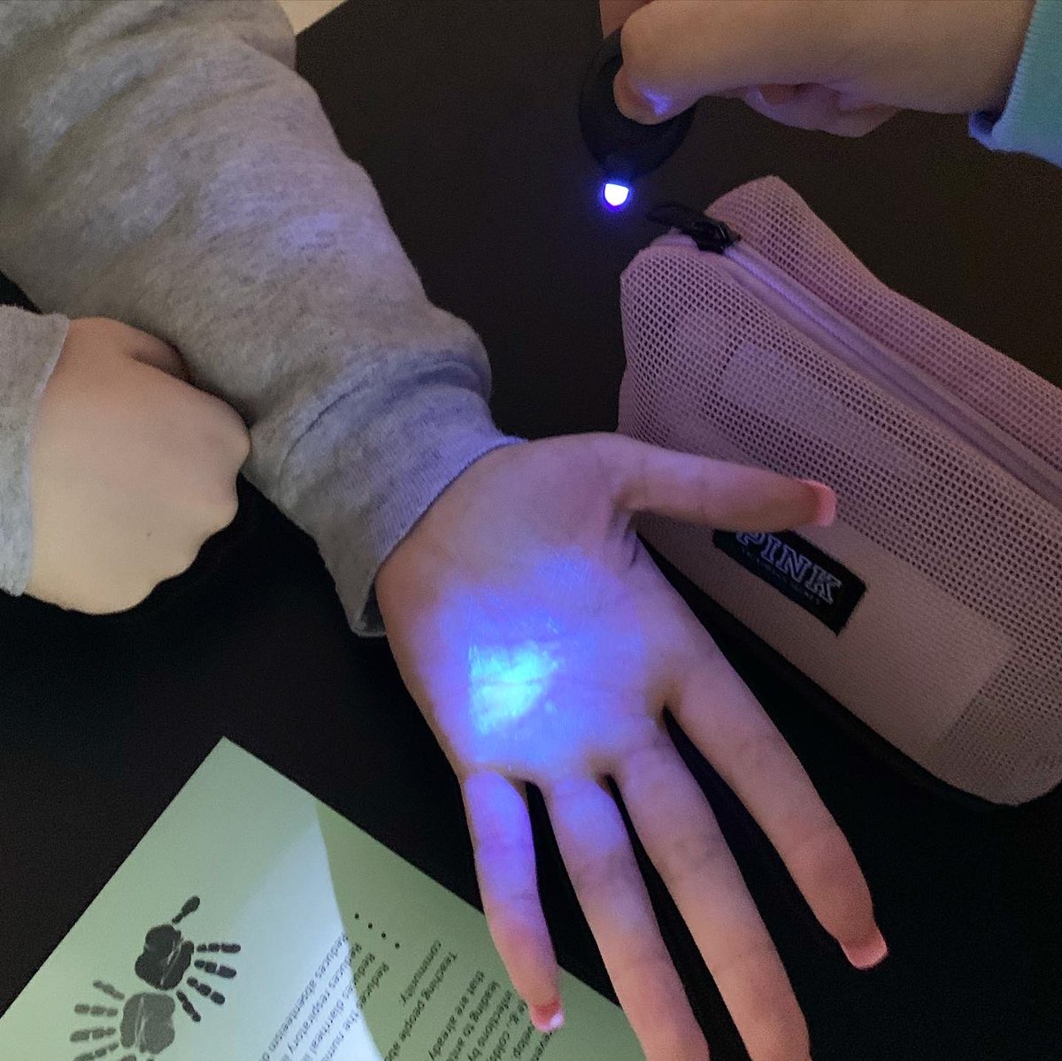 Meredith Koester tweet media