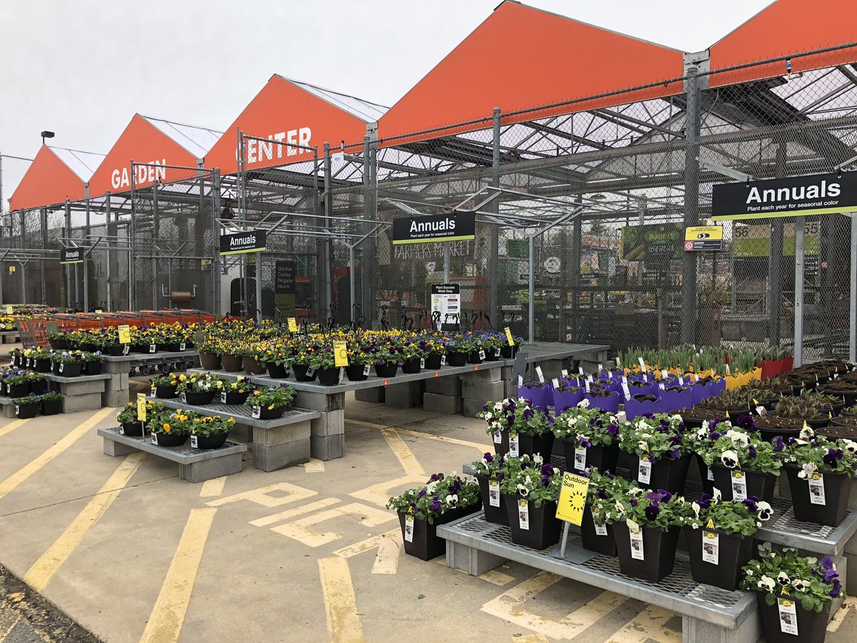 PPSLinda's tweet photo. HD3637 Hendersonville #newarrivals #lotsofcolor #springplanting @PPSinHD @Stephen_E_Camp @BobbyBoaenTHD @CHilliardTHD @DouthitChris @DyerEric18 https://t.co/xUqBpt9CNM