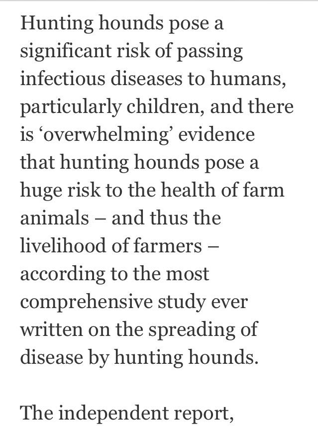 herbieharry's tweet photo. Perhaps @henleystandard could find out from organisers of the #HenleyShow why convicted criminals who pose a risk to health are being allowed to parade? Can’t imagine many people approve of the disgusting #Kimblewick hunt? https://t.co/hx9ZYrfJKI