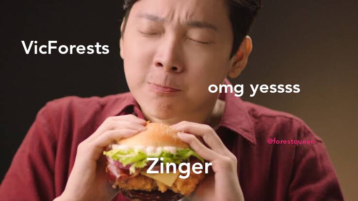 forestqueen11's tweet photo. VicForests and their new coupe ‘Zinger’, low economical yield, high ecological damage, habitat for critically endangered critters, omg yesssss #SaveZingerToolangi https://t.co/O9uMrxat3W