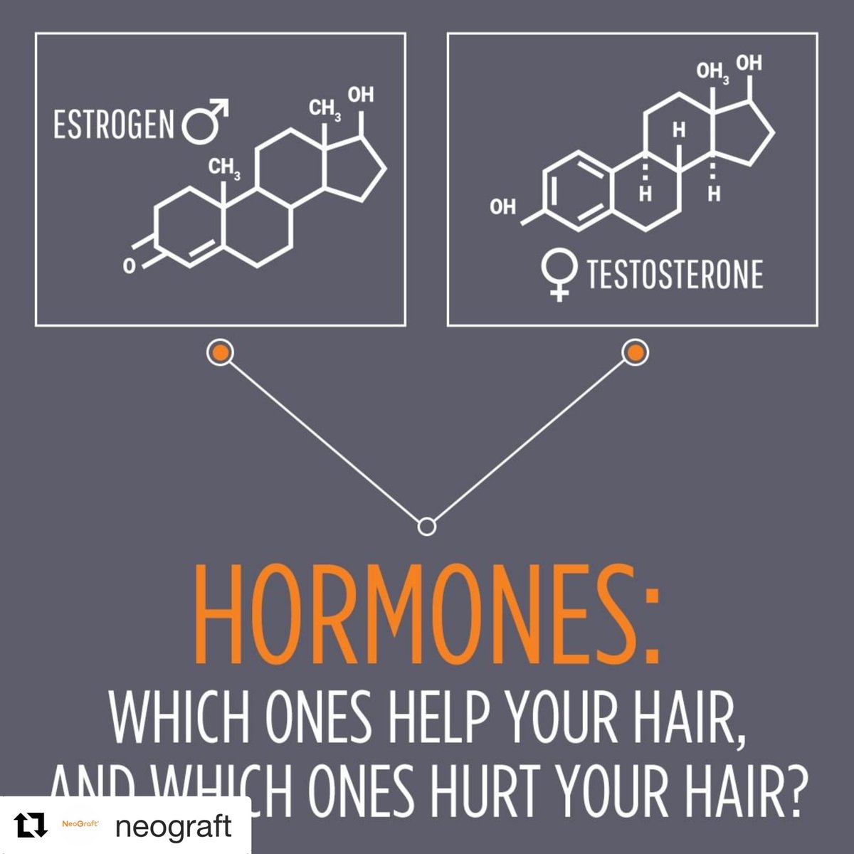 contourderm's tweet photo. 👦👩 Just as hormones can be the key to maintaining thick, healthy hair, it would seem that some hormones can have much more devastating effects on hair growth.
👉Learn more about NeoGraft today👇
➡️ https://t.co/EjlEJj6mY7
#NeoGraft #HairRestoration #contourderm #JochenMD https://t.co/3zlziT2SHI