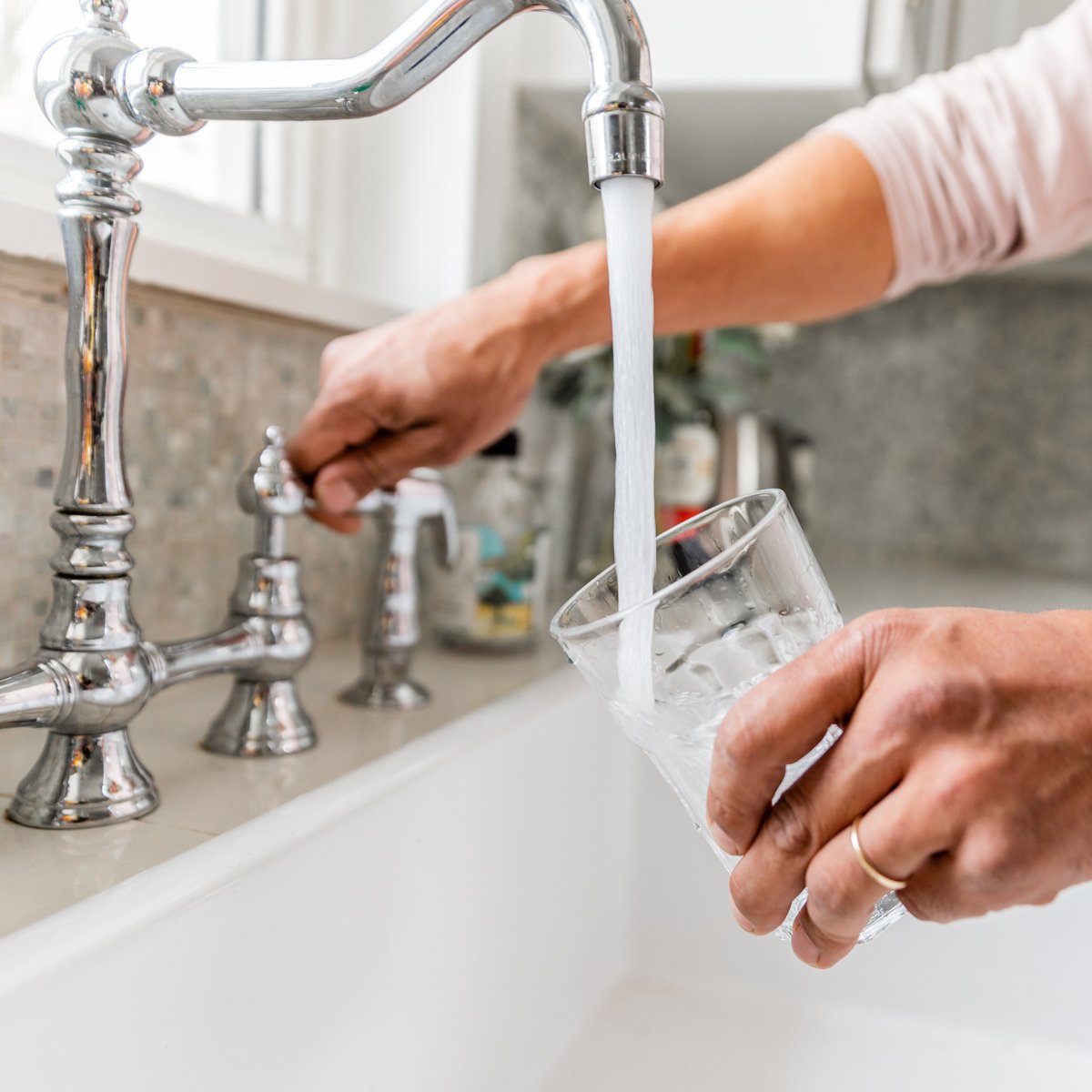 Hempy Water - Forest tweet media