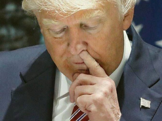 ManyEyesWoman's tweet photo. @tedlieu @smacktuna By his gutting of our health safety net and stupidity @realDonaldTrump owns this virus now. #FailingDonaldTrump #TrumpVirus #TrumpCoronaCoverUp #TrumpCoronaDisaster #Trump https://t.co/w4z5GwrKfI