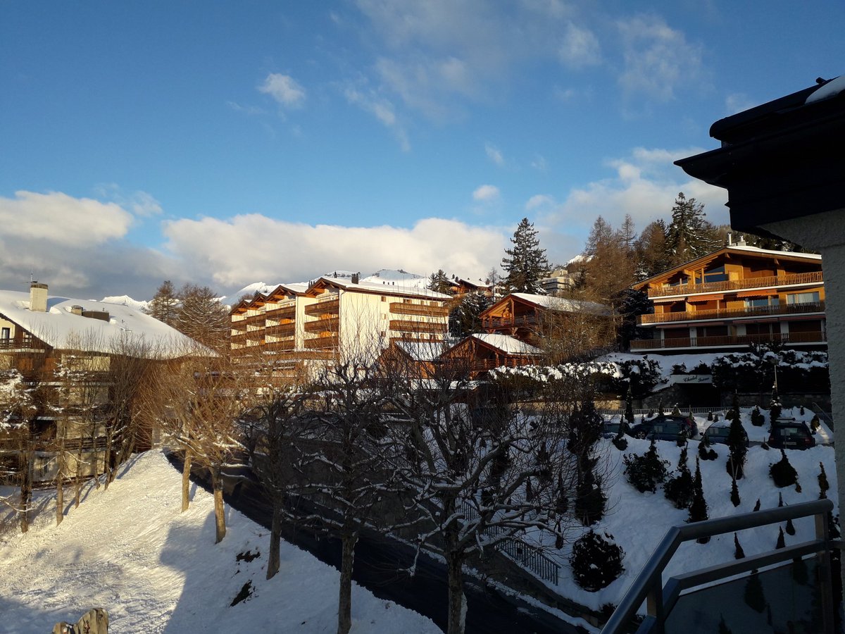 stedcamp's tweet photo. Our morning winter wonderland #ski2020 https://t.co/Ej6S3QeRK2