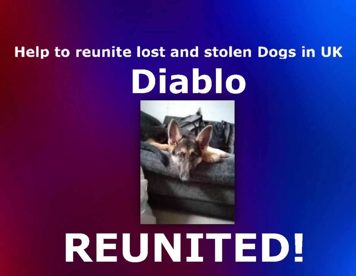_dogandbone_'s tweet photo. #CONGRATULATIONS two more much loved #Dogs #REUNITED with their families tonight! #helptoreunitelostandstolendogsinuk @facebook @DogslostUK #WednesdayWisdom #WednesdayMotivation 

If you have a missing dog or would like to help join us below ...

https://t.co/NcwvBmHEDu https://t.co/pIiIoQDa5U