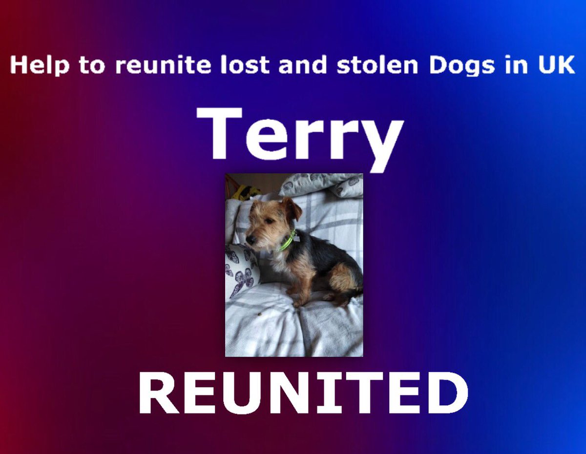 _dogandbone_'s tweet photo. #CONGRATULATIONS two more much loved #Dogs #REUNITED with their families tonight! #helptoreunitelostandstolendogsinuk @facebook @DogslostUK #WednesdayWisdom #WednesdayMotivation 

If you have a missing dog or would like to help join us below ...

https://t.co/NcwvBmHEDu https://t.co/pIiIoQDa5U