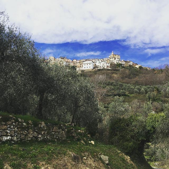 Liguriainside's tweet photo. Qualche giorno fa stavo scendendo al Ponte della Lonega (la cui leggenda piuttosto truce verrà raccontata a breve su @Liguriawow) quando Conio si è affacciato dagli olivi.
#valleimpero #liguria #conio #valledelmaro #borgomaro https://t.co/e1HNvMGjgV https://t.co/wpnJiWs9eo
