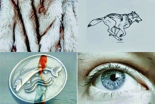 Winterfell was a very old fortress and freezing cold to live in the winter, but in the warmer months it was a fine place. 

When the evening came, Catelyn loved to dance with Ned. Her dresses were of the richest fabrics of blue and green. She was once again a Tully lady.