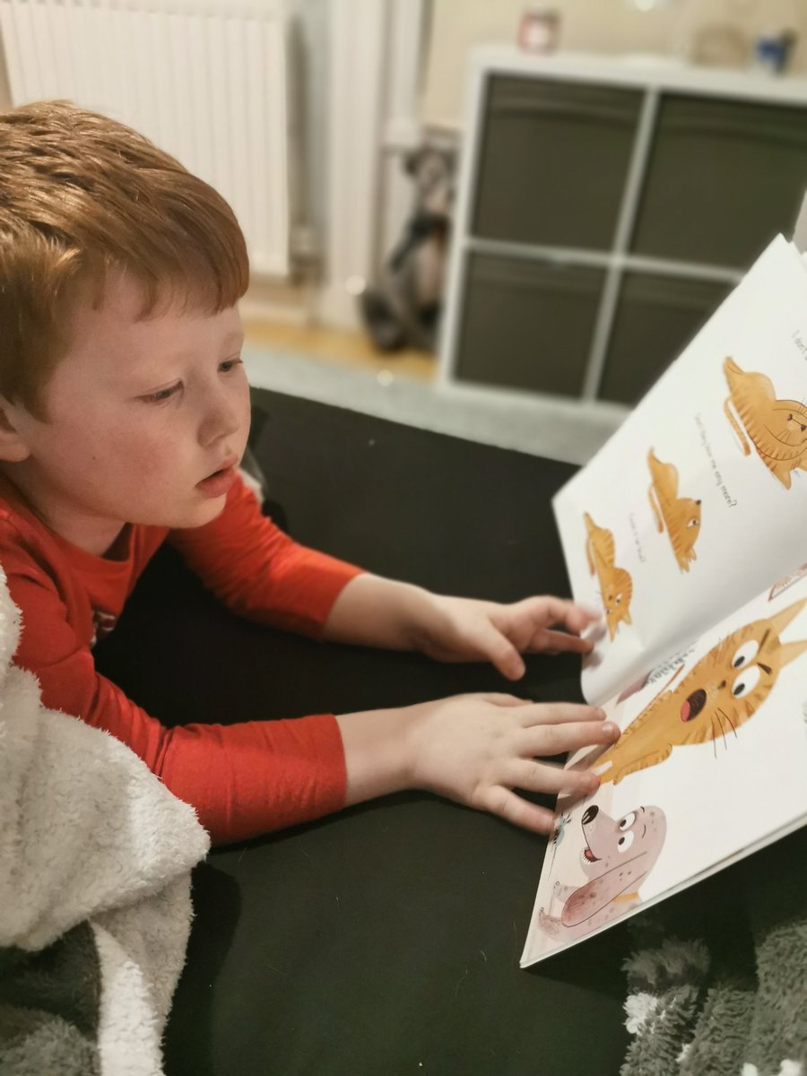 janejanem83's tweet photo. @HolytownPS Ben enjoying reading me my bedtime story 😊📖 https://t.co/qmxGRkmnuW