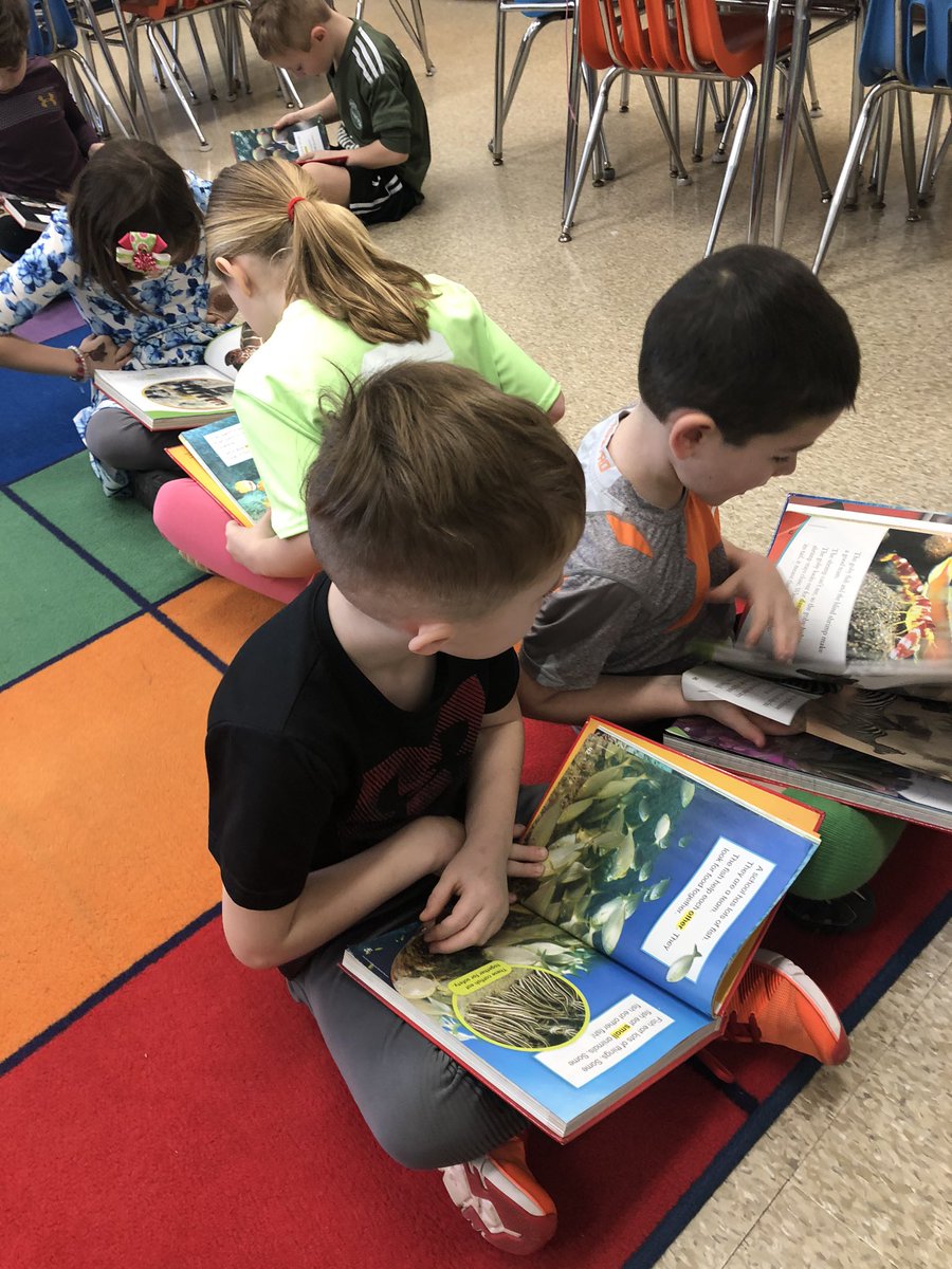 Laurie Collacchi tweet media