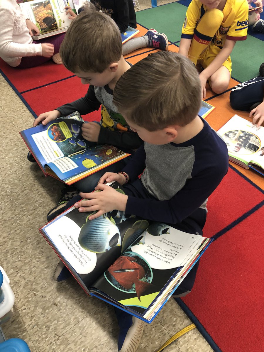 Laurie Collacchi tweet media