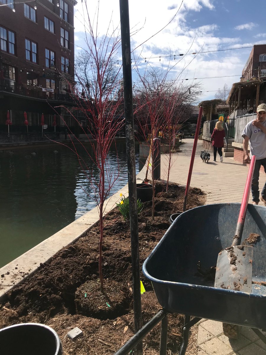 _Bricktown's tweet photo. Our landscaping team is working hard to make improvements by planting new trees along the Bricktown Canal. 🌳🌳🌳 https://t.co/VZSb535lLQ