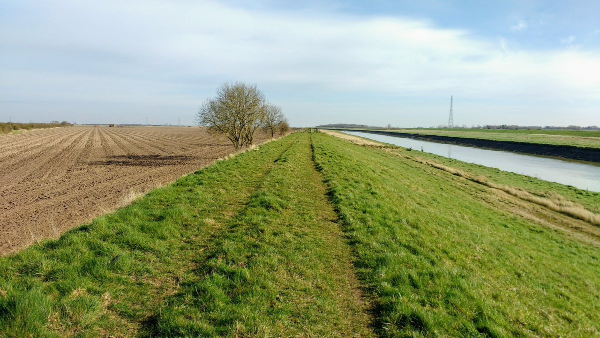 BethFootForward's tweet photo. #Fosdyke to #Boston along the #Macmillan Way. Lapwings, ponies &amp; a hare.
https://t.co/IXgB70MuYZ

https://t.co/5Pf99n8VVI

#nationaltrails #visitbritain #Lincolnshire #searchandrescue #uksar #volunteers #ramblers #walking #hiking #charitywalk #charitycoastalwalk #BethFootForward https://t.co/EgUT3oDf4Y