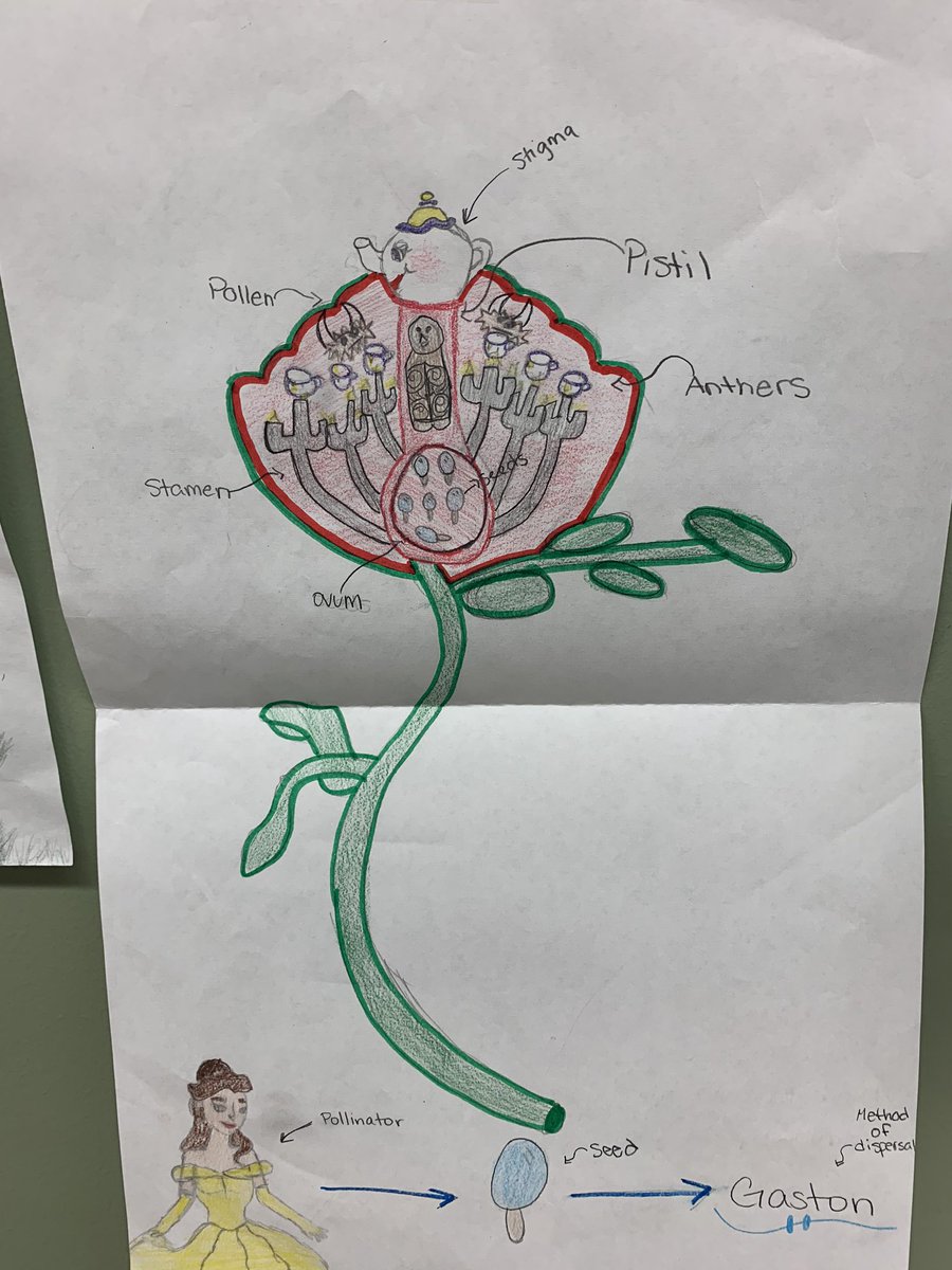Mrs_Keltner's tweet photo. Here are some creative “Flowers” that our Whisk Takers created this past week! #FlowerPollination https://t.co/gjhesIc2oz