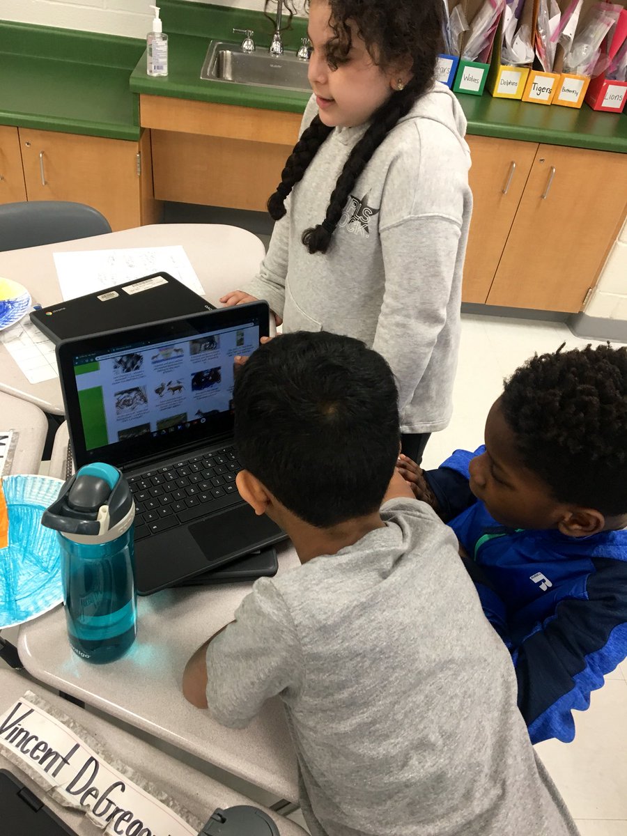 MsDischGPE's tweet photo. We used our habitat planning sheets and group feedback to create our final animal habitats! DQ: “How can we, as Goshen Post students, create a local zoo that meets the needs of animals?” #GoGPgators https://t.co/BukmYWkx3M