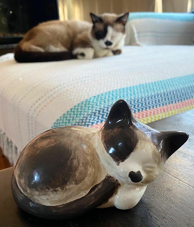 laarnigedo's tweet photo. My sister has been killing it in the gifting department the last few months... https://t.co/woLlcz0P9W