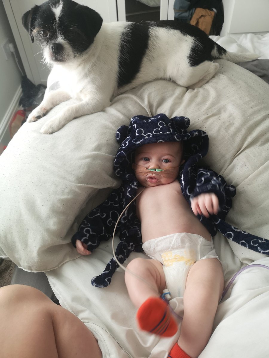 SamSkilbeck's tweet photo. As much as I love spending all day with my best mates Callum 👶and Jeff 🐕... I'm massively having withdrawal symptoms from work and being with @joannechodgetts 24:7 👯 #dreamteam #actionlog #PMlife #givemealist https://t.co/lcTbtPyjyE