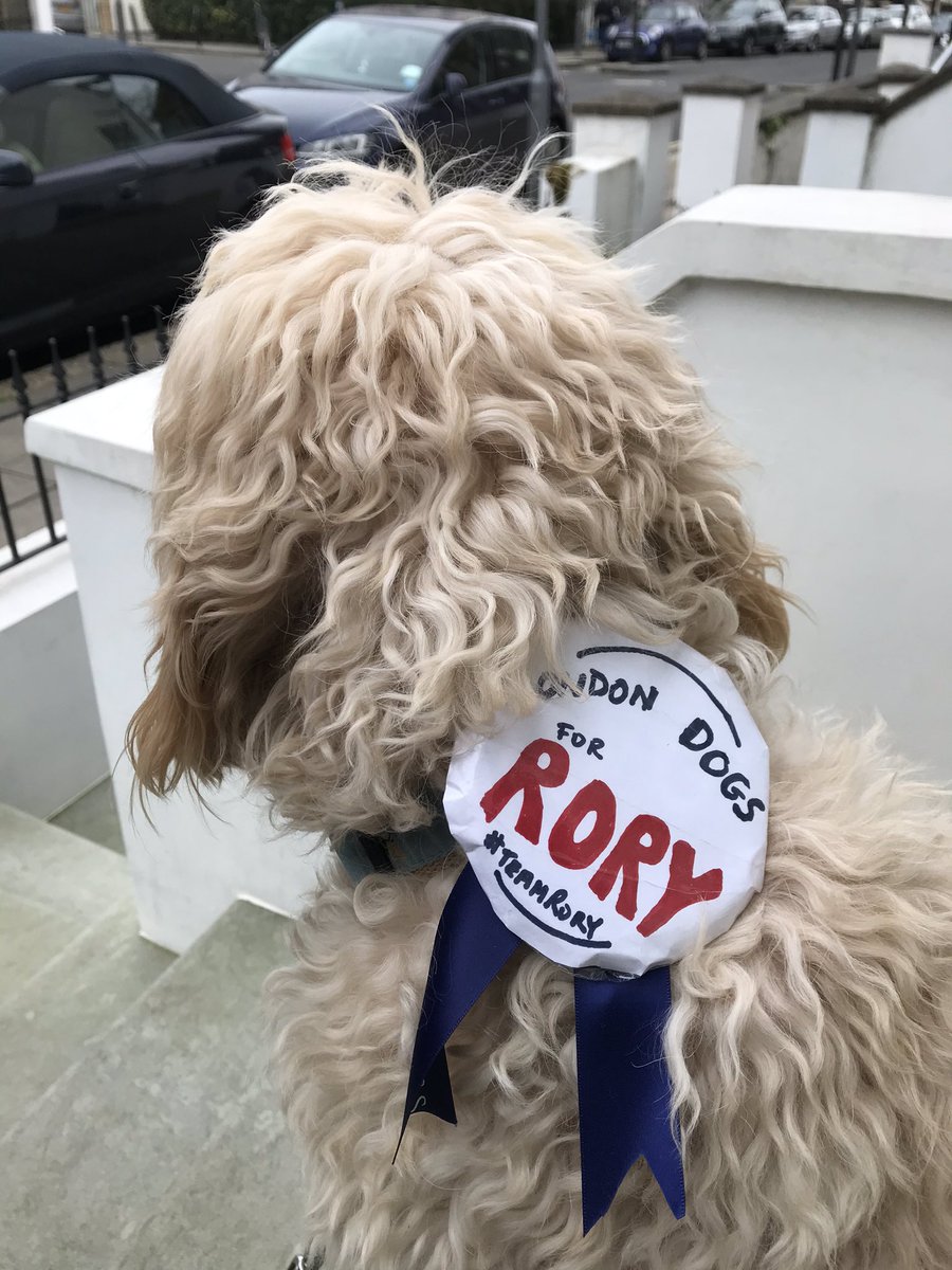 Kilaiditis's tweet photo. This is a sad day for me. I knew there would come a day when @RoryStewartUK would say something I would strongly disagree with. Though I do agree with Rory 99% of the time, on this one, he is dead wrong!

I vote for @oscardude77 any day of the week!
#RoryforLondon #DogsforRory https://t.co/D8YuunKb1E