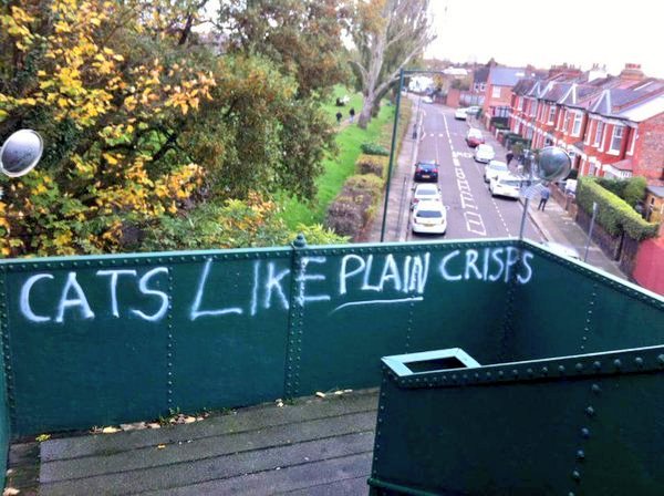 BinAnimals's tweet photo. @jamesdraper @EwaSR Always been a fan of "cats like plain crisps", which is apparently not about cats as in lol, but cats as in hep.

(original, reboot) https://t.co/nkqVYY3jN6