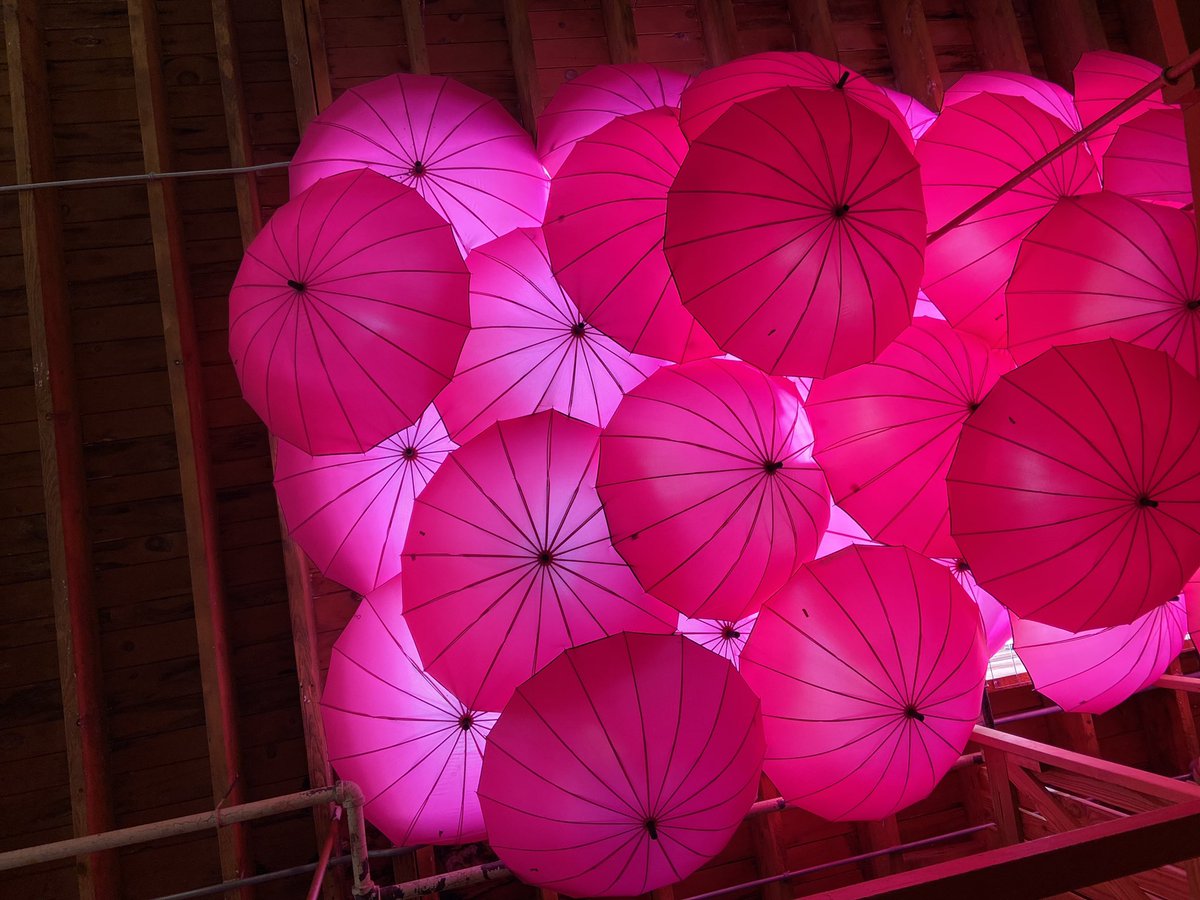 RaisingArtists's tweet photo. As a creative soul... I believe in taking the opportunity to stop, look around, maybe sometimes even look up and becoming inspired by the beauty with in our city. 💖☂ #PinkUmbrella https://t.co/SkEmYNrq56