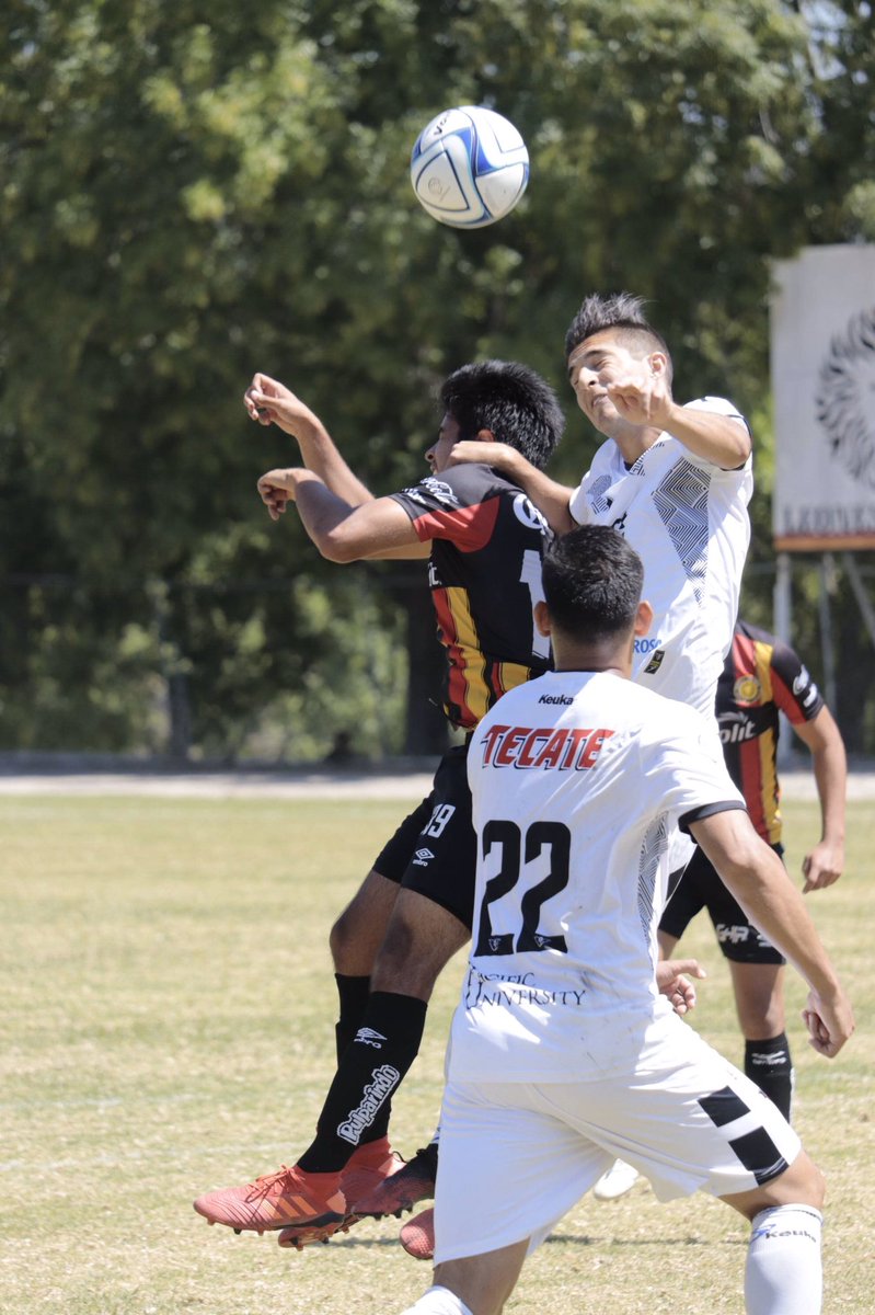murcielagosfc's tweet photo. Dar el máximo en cada jugada, marcará la diferencia 🦇
Este sábado enfrentaremos a la UAZ y el objetivo es claro vamos por la victoria 🦇
@LigaPremier_FMF 🏆
#ElPoderDeLaNegra 🖤 https://t.co/ha2eqAeake