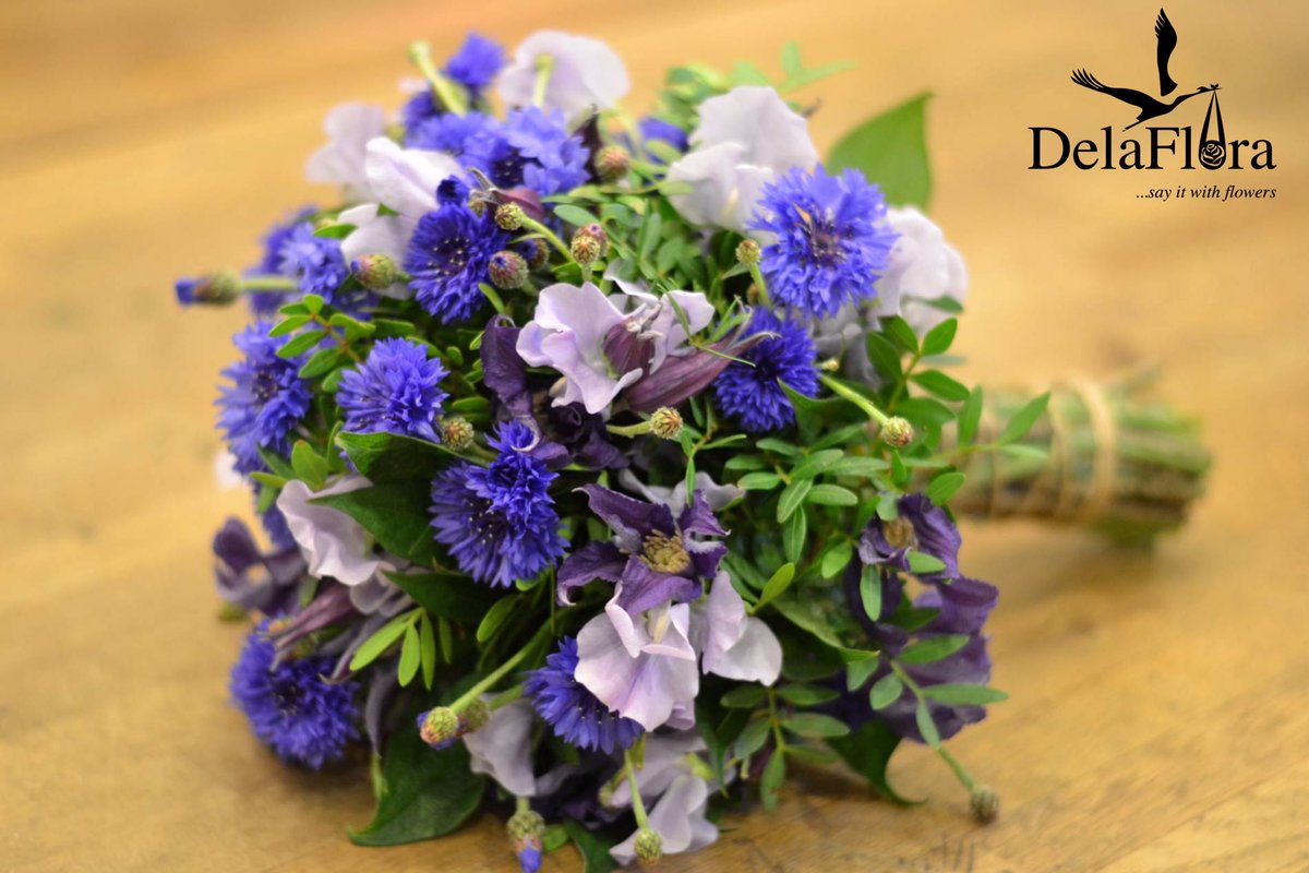 Delaflora1's tweet photo. A mix of Cornflower &amp; Sweet Pea Bridal Bouquet💐😍 
______________________________________
Tag a friend; spread the word!🙏🏼
#tagsomeone #share #sharethelove #flowers #beautiful #delaflora #cornflowerblue #bouquetofflowers https://t.co/RSaoH0vBf6