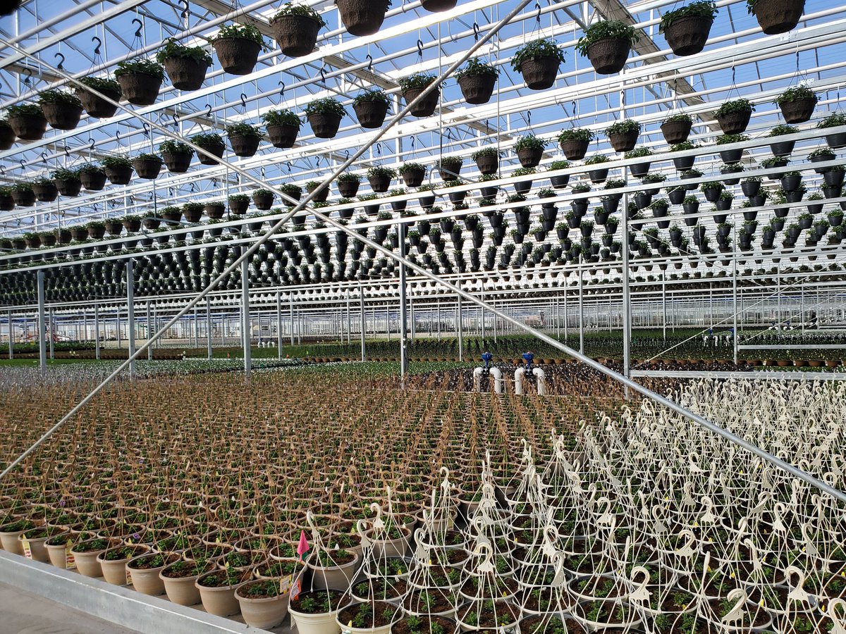 Janeen_GG's tweet photo. We kicked off the @biocontrolsconf tour at Smith Garden's Aurora, OR facility. It's going to be an interesting and educational day! https://t.co/g0mVRIPkKI