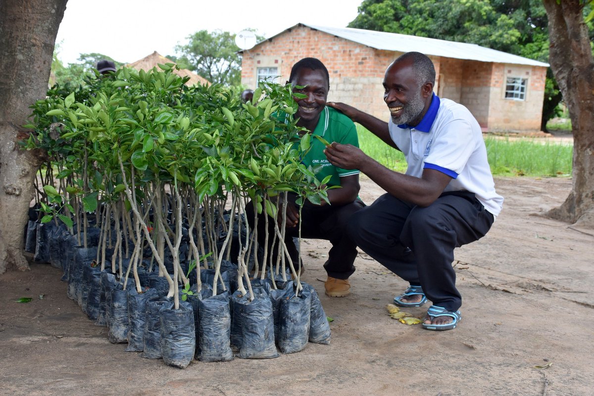 Worldly Wednesdays: Putting Farmers First in East Africa - mailchi.mp/d16ba25e87ea/w…
Find out this week's upcoming international events! Learn about putting farmers first in East Africa and relieving energy poverty in South Africa!
<a href="/oneacrefund/">One Acre Fund</a>