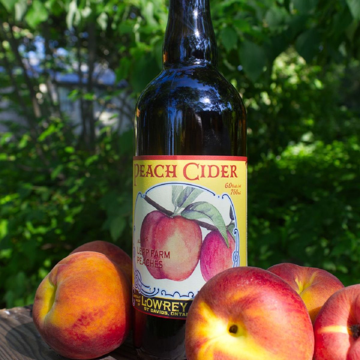 This sunshine is making us want to sit on a patio and drink a refreshing peach cider. Who's with us? 🍻☀️