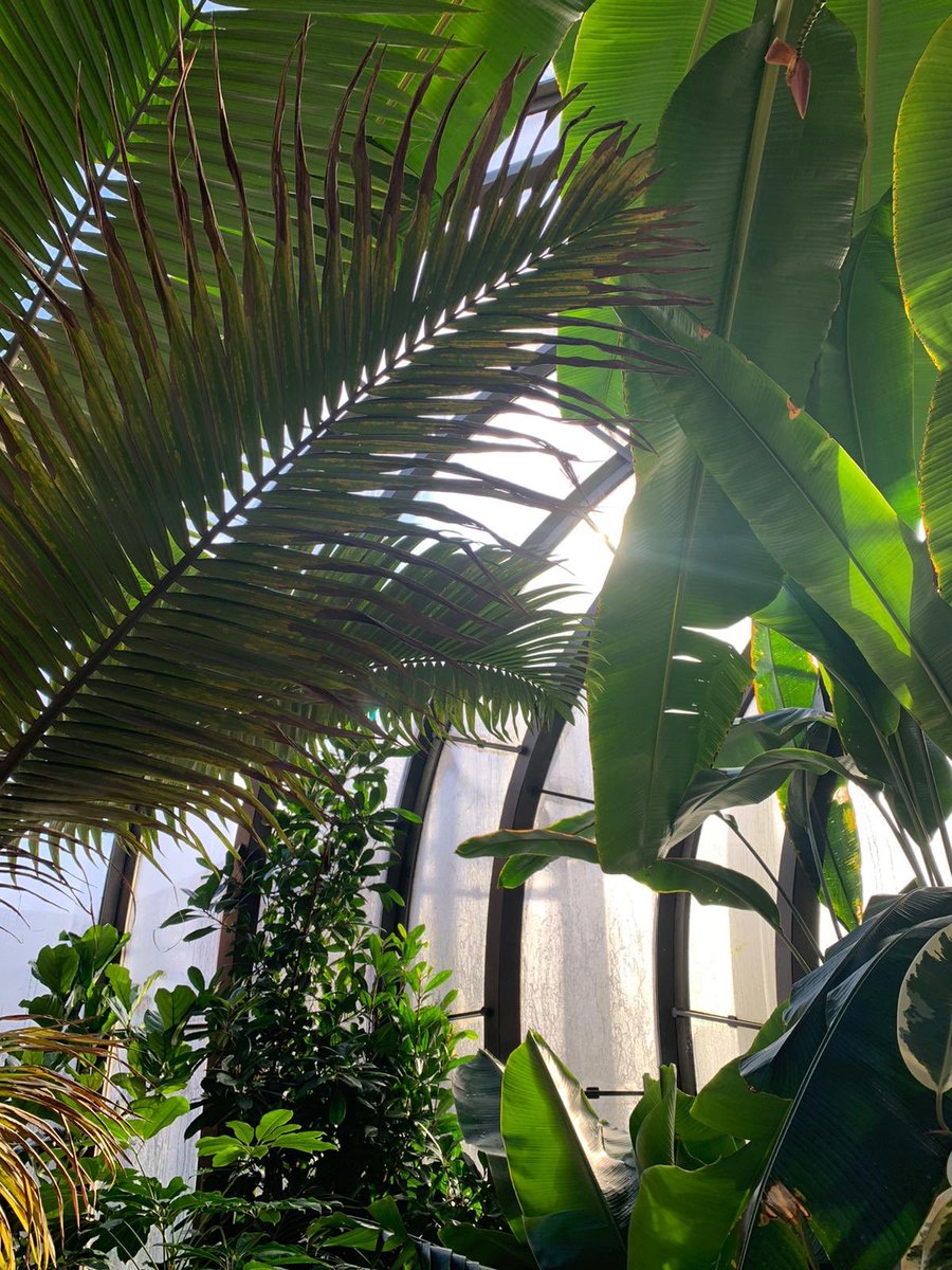 thekenilworth's tweet image. Really enjoyable team visit to the Bombay Sapphire Distillery, home of Bombay Sapphire Gin, uncovering the secrets of their world famous Gin and unveiling the care, skill, and artistry behind every drop @BombaySapphire #BombayDistillery #Team #Gin