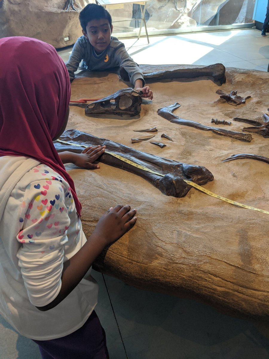 MrsSaunders10's tweet photo. Third grade students are putting their skills to the test at the #MarylandScienceCenter @HernwoodES @spoland123 @fayfayallday1 @nashaeb https://t.co/eUqMrIdVA6