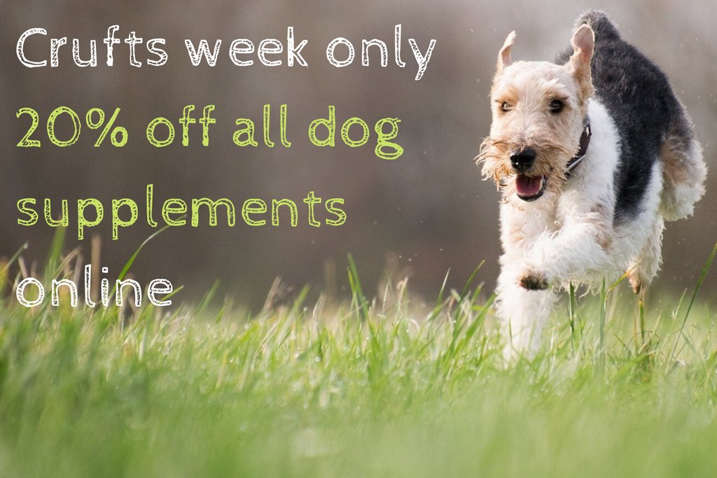 aviform's tweet image. Don't forget you can save 20% on ALL dog supplements online with code CRUFTS20 this week only! buff.ly/2VHn37l