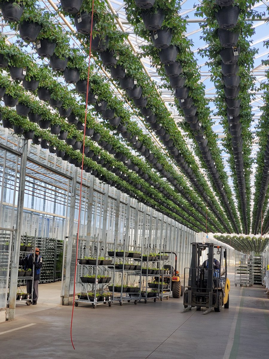 Janeen_GG's tweet photo. We kicked off the @biocontrolsconf tour at Smith Garden's Aurora, OR facility. It's going to be an interesting and educational day! https://t.co/g0mVRIPkKI