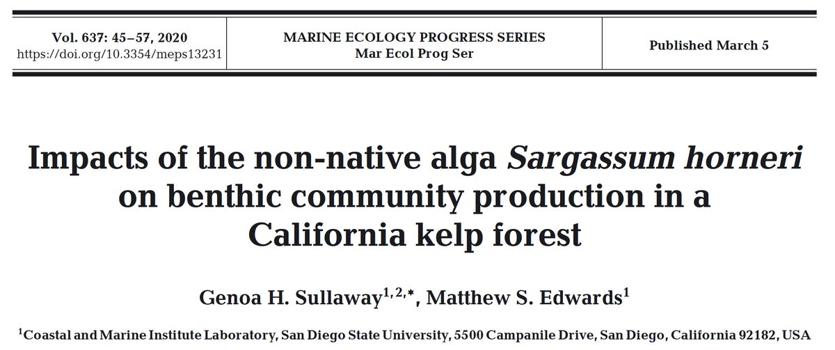 Excited to share this paper- coming out tomorrow <a href="/MEPS_IR/">Marine Ecology Progress Series (MEPS)</a>! We found that presence of the non native algae, Sargassum horneri contributed to ephemeral increases in gross community production and respiration, but did not impact net community production @kelptalk @SDSU_CMIL