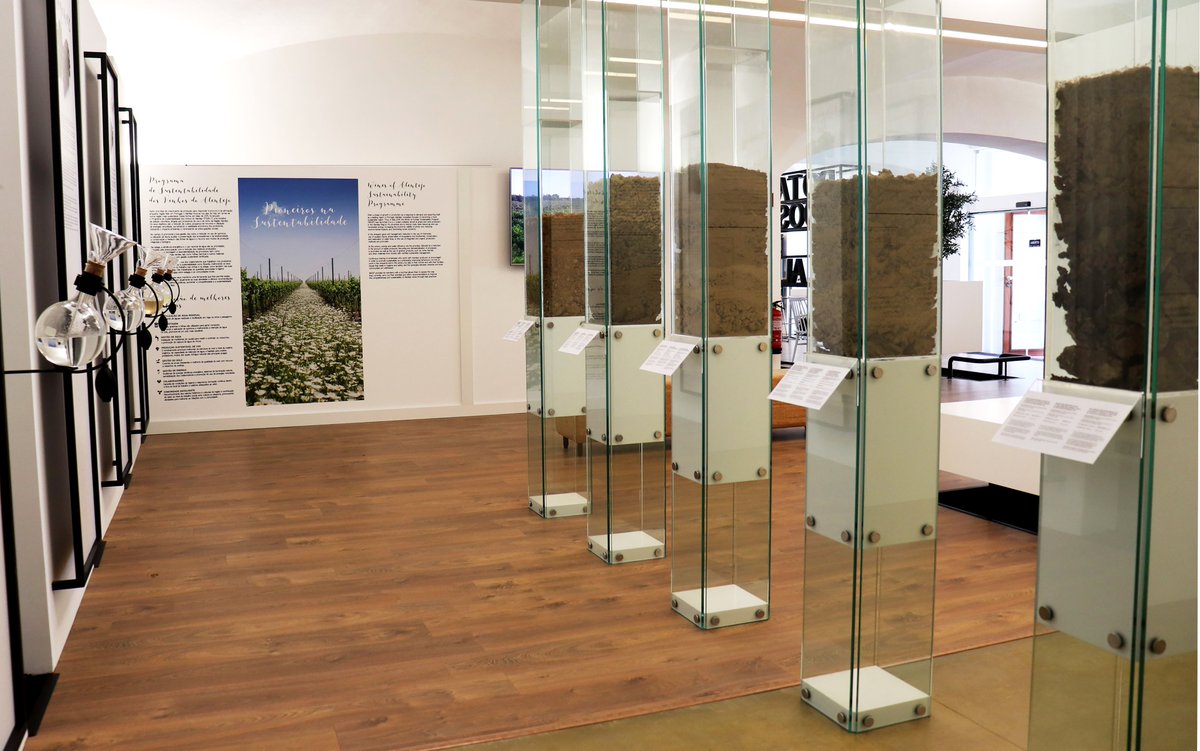 vinhos_alentejo's tweet photo. Visite o novo espaço da Rota dos Vinhos do Alentejo!

Viaje pela história do vinho na região, a tradição ancestral do vinho de Talha, os solos e as castas, a sustentabilidade da região e os diversos enoturismos da região.

Saiba mais: https://t.co/p8P3IaxzWc https://t.co/ne6oSF0LOg