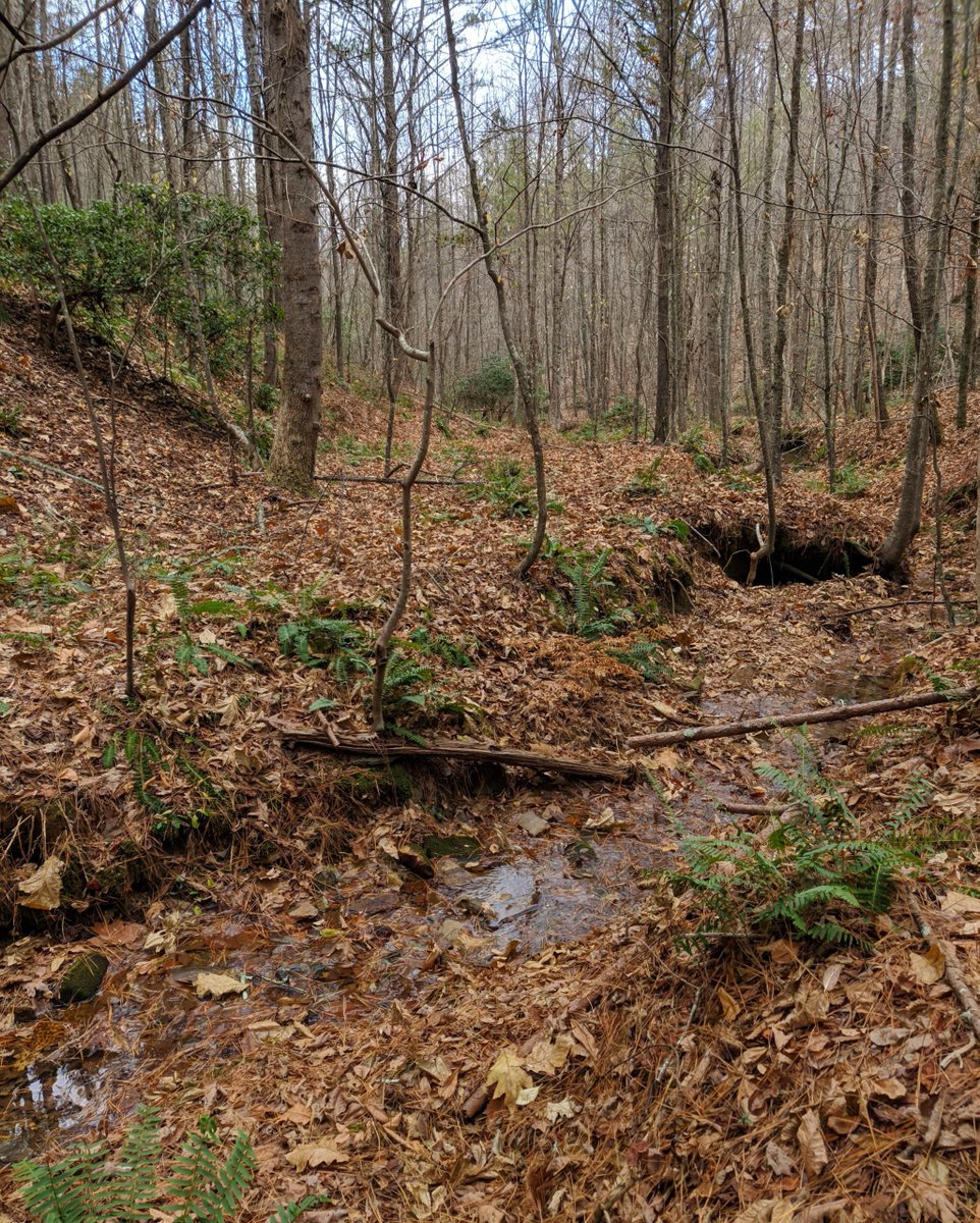 TrueSouthProp's tweet image. This is Equestrian heaven! Ideal for a Private Estate, Family Compound, or terrific investment property (future residential development potential).
truesouth.com/listings/garla…