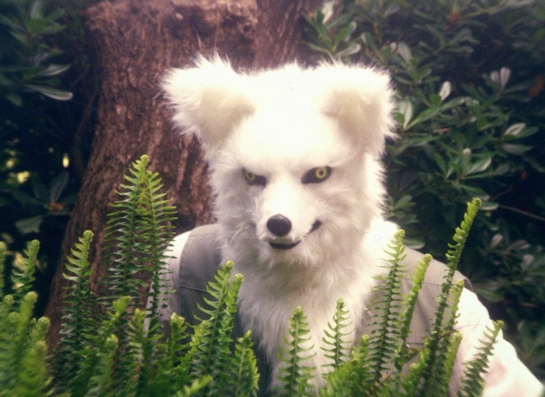 levmauc's tweet image. Viajes temporales, conspiraciones y giros de guión. TU ÚLTIMO DÍA EN LA TIERRA innova en el campo de las paradojas temporales, donde absolutamente nada es lo que parece. Puedes ver la historia de un hombre que viaja al pasado para rescatar a su mujer aquí: bit.ly/32NMSnA