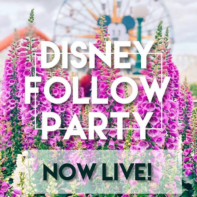 ItsDisDahling's tweet photo. Welcome to Disney Follow Party! We are so excited to party with you. 🎉 It’s simple!

1. Follow @disneyfollowparty
2. Follow everyone @disneyfollowparty is following

That’s all it takes! Watch your following grow while making new Disney friends. ✨ Pl… https://t.co/ZMuFoPIyiF https://t.co/xKC9rWtg1w