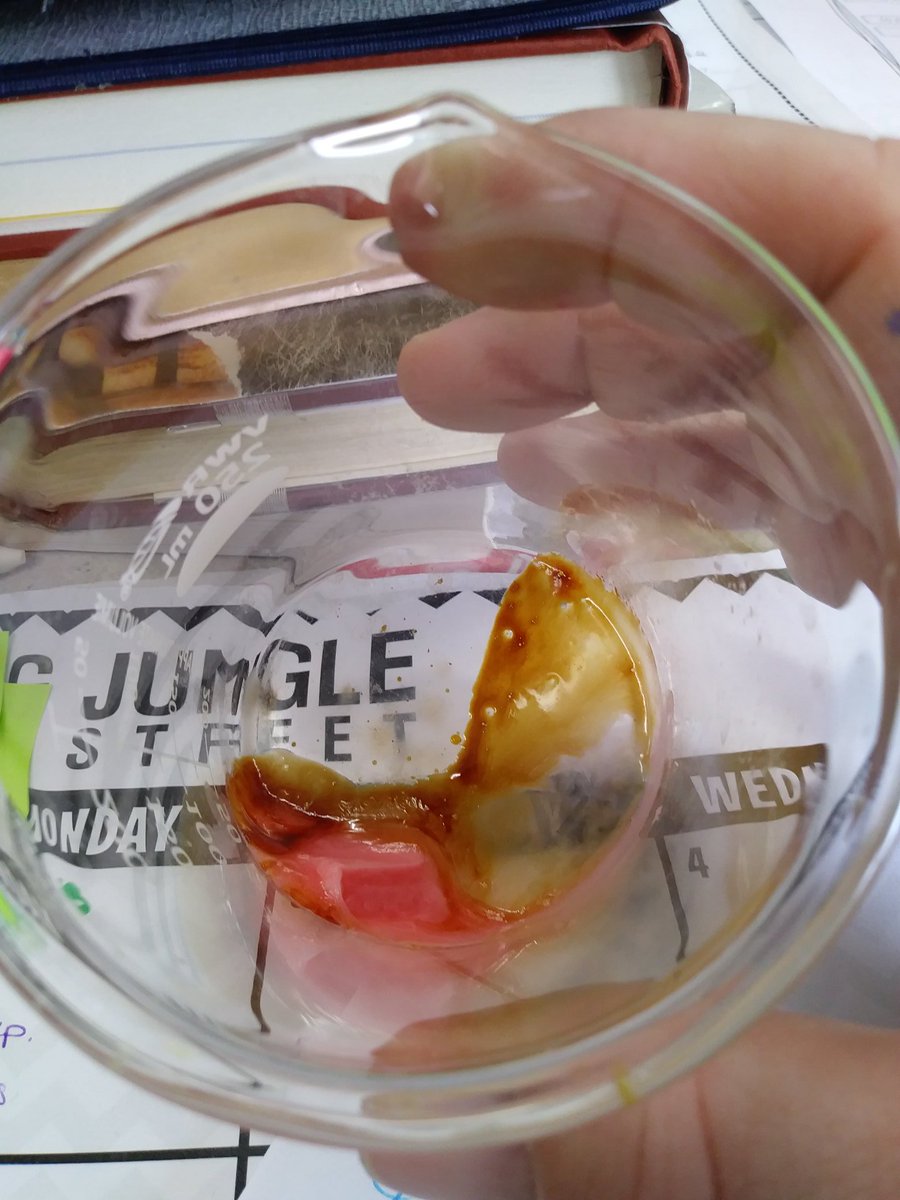 GloriaSchmitz6's tweet photo. Beginning our unit on Rocks and Minerals.... I love starting it with a kwl chart and a starburst lab! #Reynlearning @ReynHAMS https://t.co/roliiMm4i7